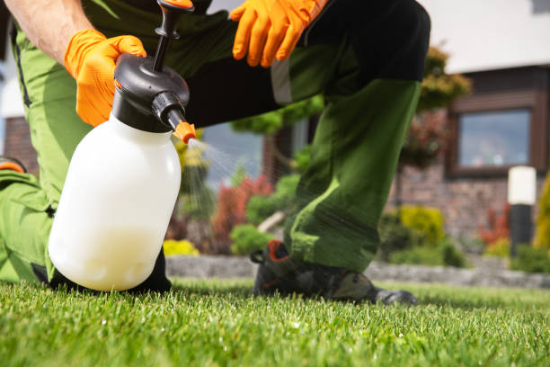 Best Termite Control Services  in Gautier, MS