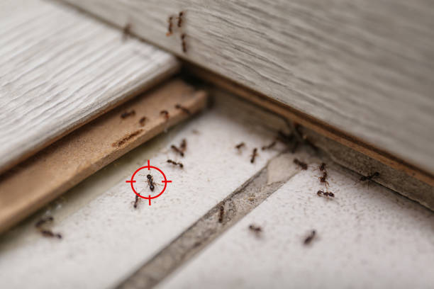 Pest Control Cost in Gautier, MS