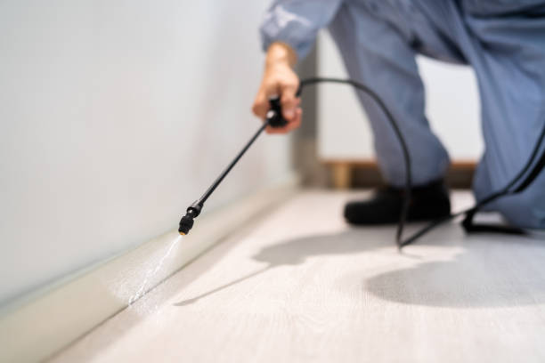 Professional Pest Control in Gautier, MS