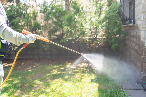Best Rat Extermination Near Me  in Gautier, MS