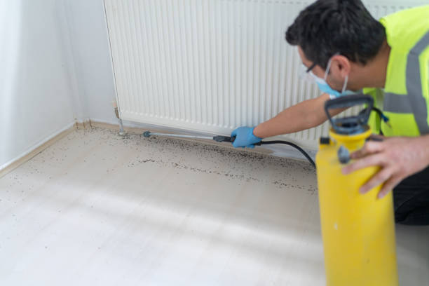 Best Exterminator Services  in Gautier, MS
